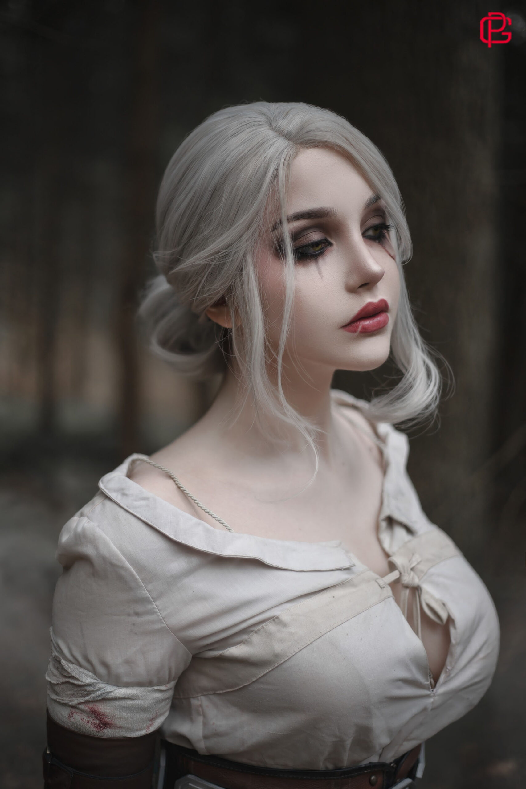 The Witcher Ciri By SayatheFox